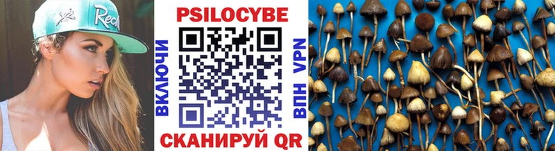 Купить где  Валдай  Псилоцибиновые грибы Psilocybine cubensis 