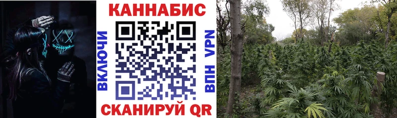 Купить где Валдай Конопля марихуана